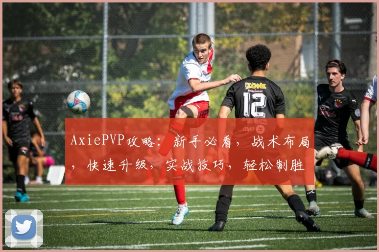 AxiePVP攻略：新手必看，战术布局，快速升级，实战技巧，轻松制胜三步走