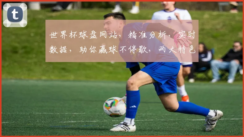 世界杯球盘网站，精准分析，实时数据，助你赢球不停歇，两大特色，不容错过